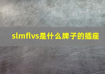 slmflvs是什么牌子的插座(