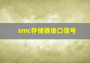 smc存储器接口信号
