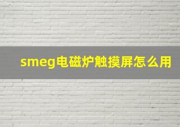 smeg电磁炉触摸屏怎么用