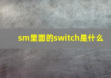 sm里面的switch是什么 