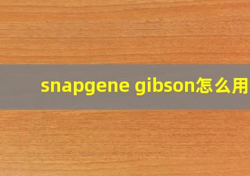 snapgene gibson怎么用的