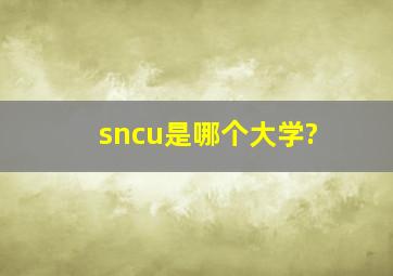 sncu是哪个大学?