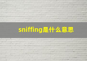 sniffing是什么意思