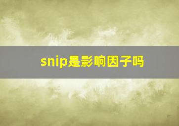 snip是影响因子吗