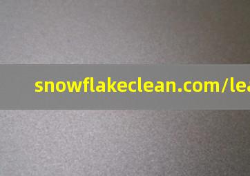 snowflakeclean.com/lea/454417