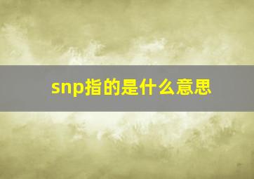 snp指的是什么意思