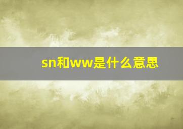 sn和ww是什么意思