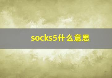 socks5什么意思