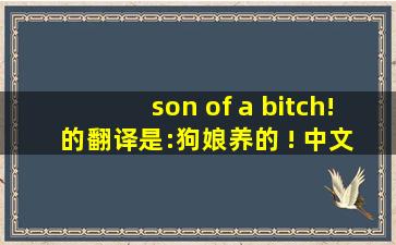 son of a bitch! 的翻译是:狗娘养的 ! 中文翻译英文意思,翻译英语