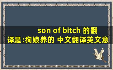 son of bitch 的翻译是:狗娘养的 中文翻译英文意思,翻译英语