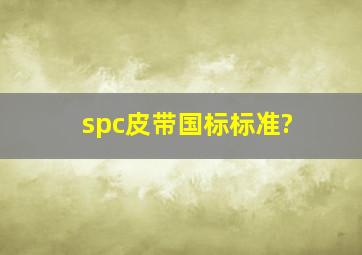 spc皮带国标标准?