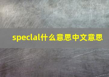 speclal什么意思中文意思