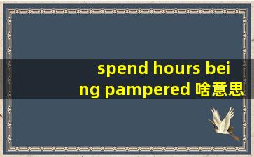 spend hours being pampered 啥意思?