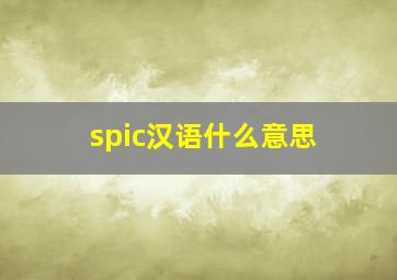 spic汉语什么意思