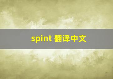 spint 翻译中文