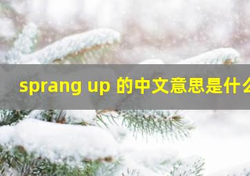 sprang up 的中文意思是什么