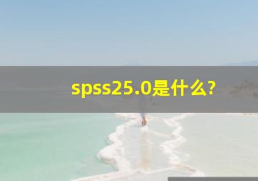 spss25.0是什么?