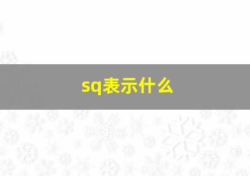 sq表示什么