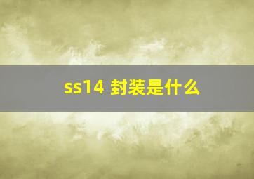 ss14 封装是什么