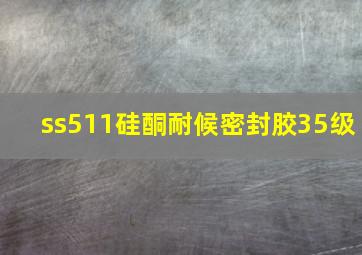 ss511硅酮耐候密封胶35级