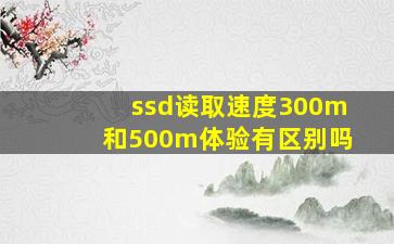ssd读取速度300m和500m体验有区别吗