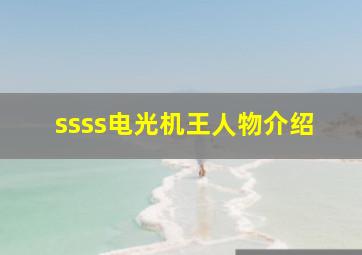ssss电光机王人物介绍(
