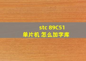 stc 89C51 单片机 怎么加字库