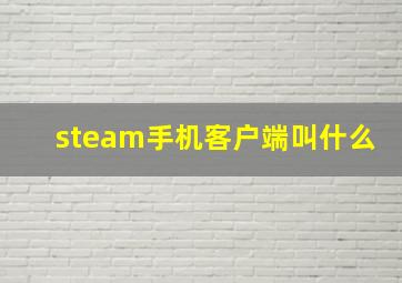 steam手机客户端叫什么