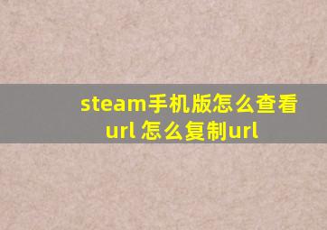 steam手机版怎么查看url 怎么复制url 