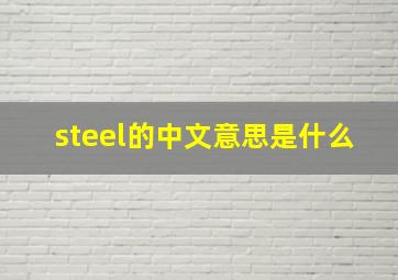 steel的中文意思是什么