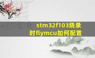 stm32f103烧录时flymcu如何配置