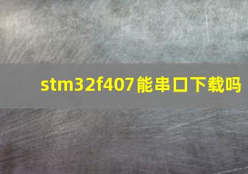 stm32f407能串口下载吗