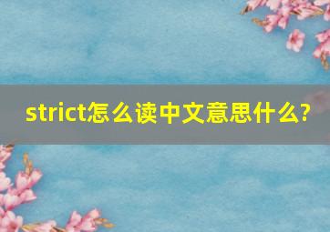 strict怎么读,中文意思什么?