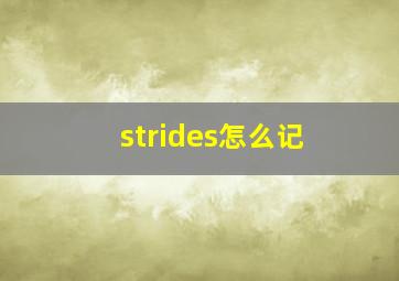 strides怎么记