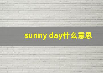 sunny day什么意思