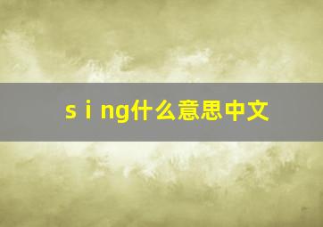 sⅰng什么意思中文