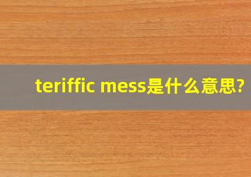 teriffic mess是什么意思?