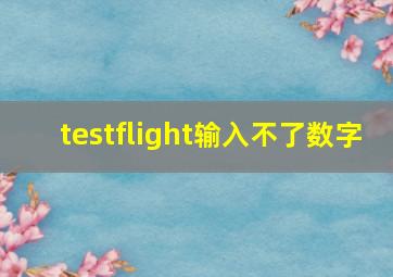 testflight输入不了数字