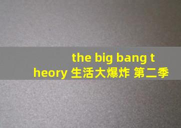 the big bang theory 生活大爆炸 第二季