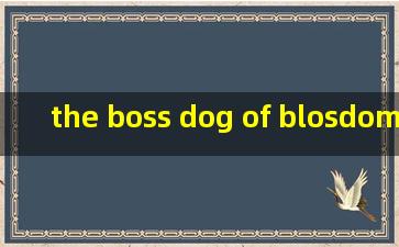 the boss dog of blosdom street全文翻译