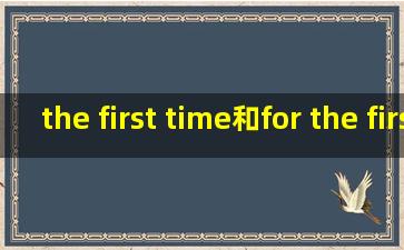the first time和for the first time的区别