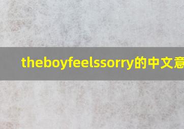 theboyfeelssorry的中文意思