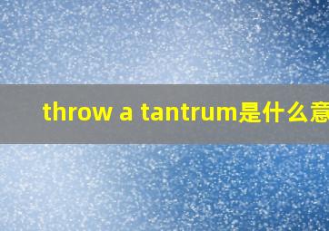 throw a tantrum是什么意思