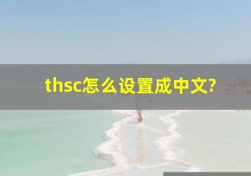 thsc怎么设置成中文?