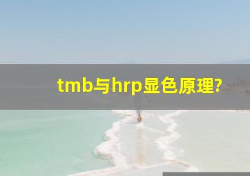 tmb与hrp显色原理?