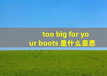 too big for your boots 是什么意思