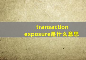 transaction exposure是什么意思