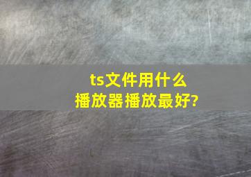 ts文件用什么播放器播放最好?