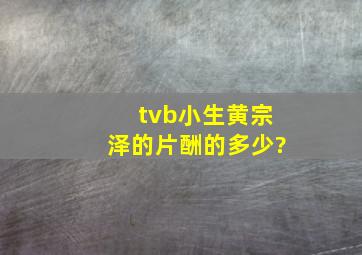 tvb小生黄宗泽的片酬的多少?