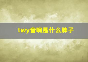 twy音响是什么牌子